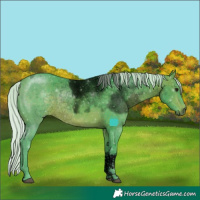 Horse Color:Void Platinum Watercolor Silver Bay Tobiano 