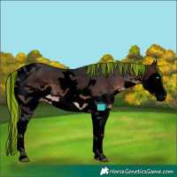 Horse Color:Void Painted Brown Splash Tobiano 