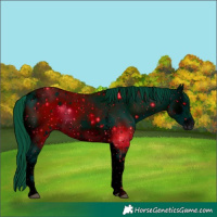 Horse Color:ERROR: UNKNOWN ANOMALY