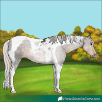 Horse Color:Silver Smoky Black Tobiano 