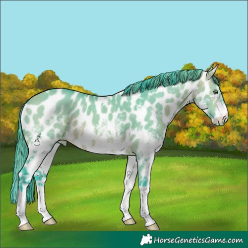 Horse Color:Watercolor White Spotted Bay Dun Leopard 