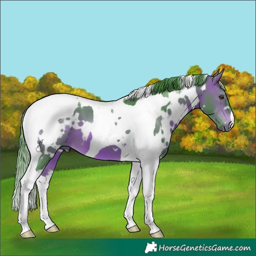 Horse Color:Watercolor White Spotted Bay Tobiano 