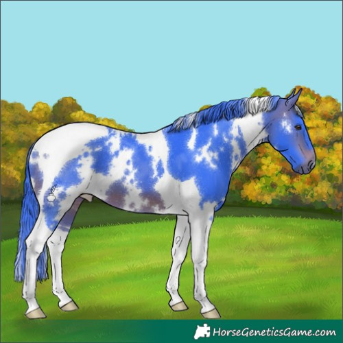 Horse Color:Watercolor White Spotted Brown Tobiano 