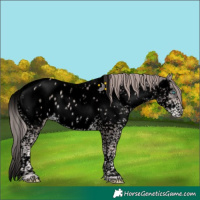 Horse Color:Void Platinum Liver Chestnut Pearl Splash Tobiano Near Leopard 