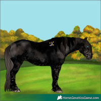 Horse Color:Void Platinum Liver Chestnut Splash Tobiano