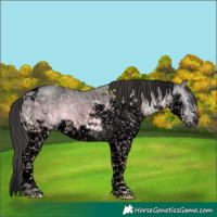 Horse Color:Gray Void Platinum Liver Chestnut Ice Sabino Splash Tobiano 