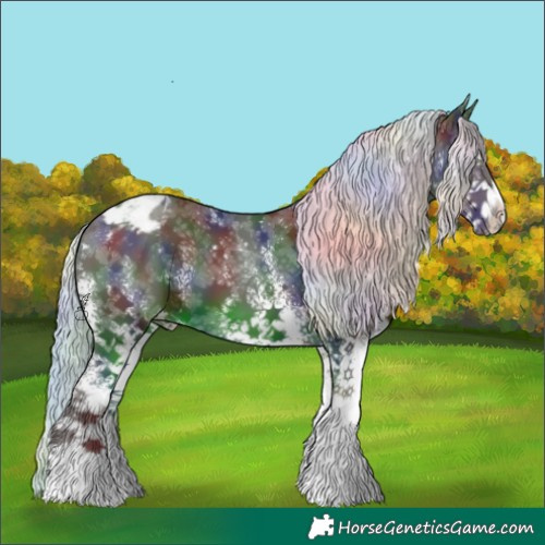 Horse Color:Nacre White Spotted Liver Chestnut Mushroom Appaloosa