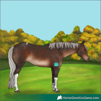 Horse Color:Silver Brown Tobiano