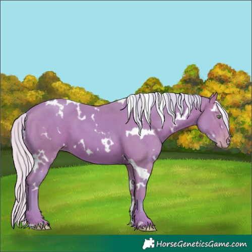 Horse Color:Watercolor White Spotted Silver Sable Champagne 