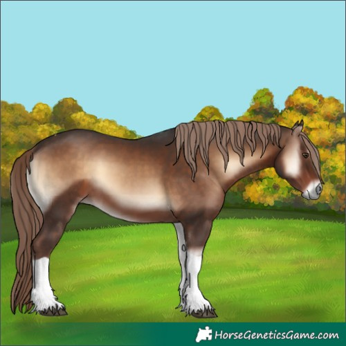 Horse Color:Liver Red Onyx Tobiano 