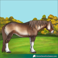 Horse Color:Liver Red Onyx Tobiano 