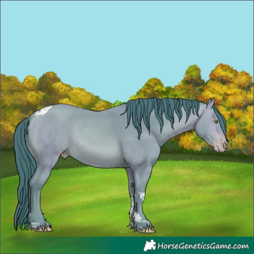 Horse Color:Watercolor Amber Champagne Tobiano 