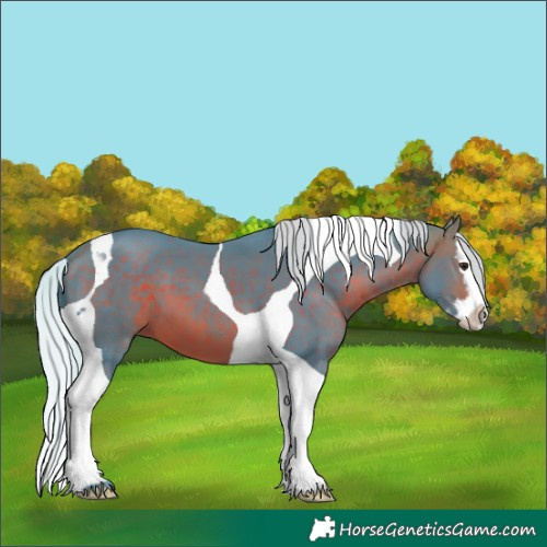 Horse Color:Watercolor Silver Bay Splash Tobiano