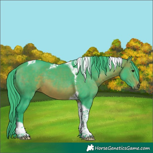 Horse Color:Watercolor Brown Tobiano