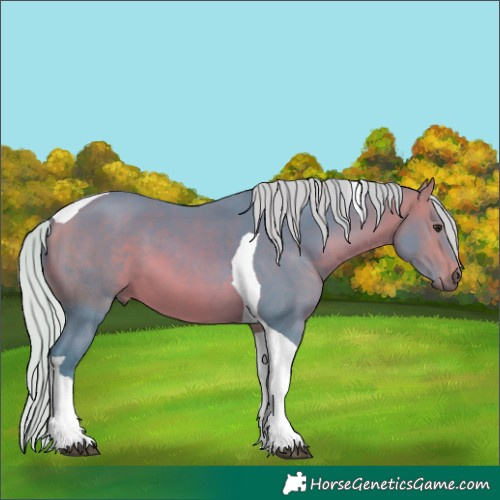 Horse Color:Watercolor Silver Bay Tobiano 