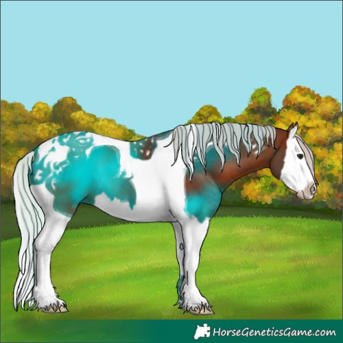 Horse Color:Silver Brown Splash Tobiano
