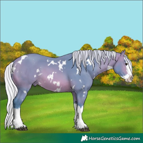 Horse Color:Watercolor White Spotted Silver Brown Splash 
