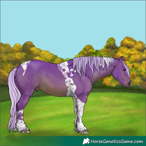 Horse Color:Watercolor Silver Brown Tobiano 