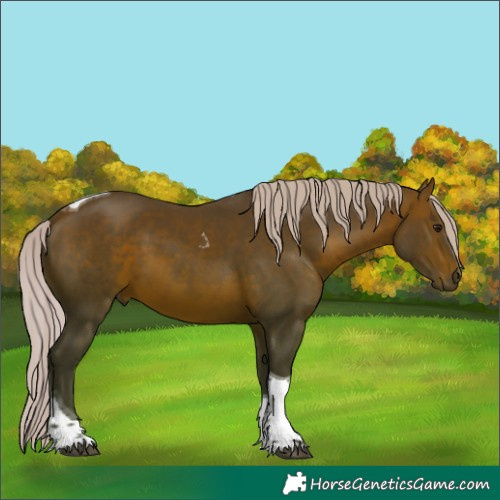 Horse Color:Silver Brown Tobiano 