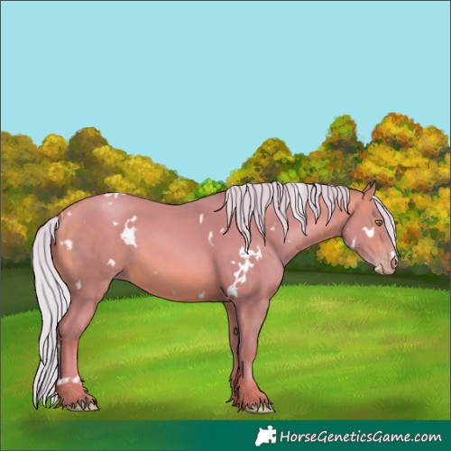 Horse Color:Watercolor White Spotted Silver Amber Champagne