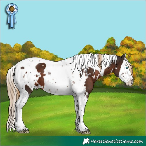 Horse Color:White Spotted Liver Chestnut Splash Tobiano 