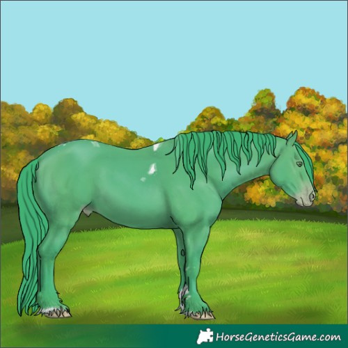 Horse Color:Watercolor Amber Champagne Tobiano