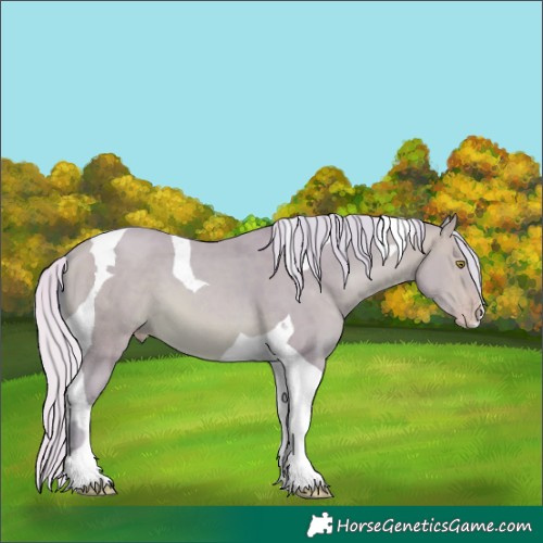 Horse Color:Watercolor Silver Amber Champagne Tobiano 