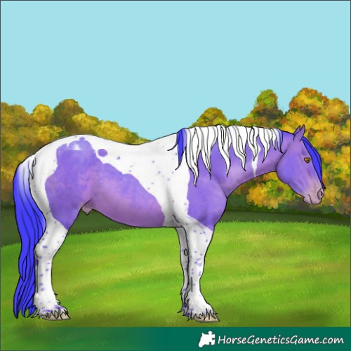 Horse Color:Watercolor Sable Champagne Tobiano