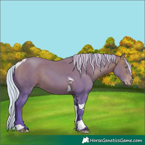 Horse Color:Watercolor Silver Sable Champagne Tobiano