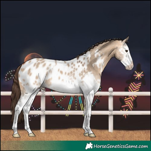 Horse Color:White Spotted Bay Dun Frame Near Leopard Rabicano 