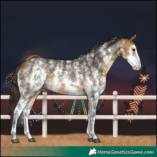 Horse Color:Buckskin Sabino