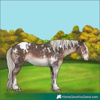 Horse Color:White Spotted Liver Chestnut Mushroom Sabino Snowcap