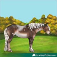 Horse Color:White Spotted Liver Chestnut Mushroom Sabino