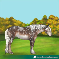 Horse Color:White Spotted Liver Chestnut Mushroom Sabino Blanket 