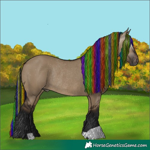 Horse Color:Gray Painted Bay Dun Appaloosa Rabicano