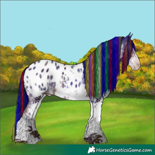 Horse Color:Gray Painted White Spotted Sable Champagne Blanket 