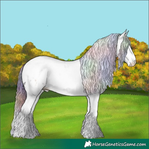 Horse Color:Nacre Amber Champagne Sabino Near Leopard Rabicano 