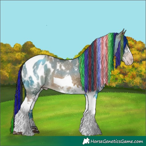 Horse Color:Gray Painted Sable Champagne Dun Sabino Tobiano Appaloosa 