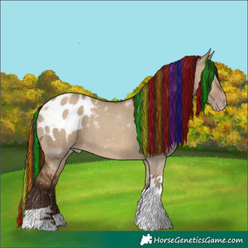 Horse Color:Gray Painted Sable Champagne Dun Tobiano Appaloosa 