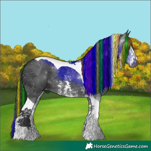 Horse Color:Gray Painted Liver Chestnut Sabino Tobiano 