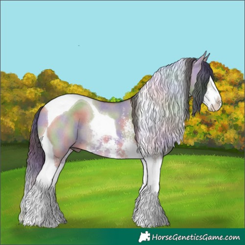 Horse Color:Nacre Brown Dun Sabino Splash Tobiano Rabicano 