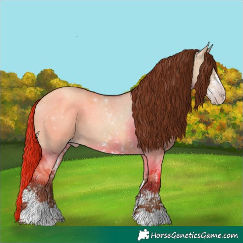 Horse Color:Gray Gold Champagne Dun Sabino Rabicano