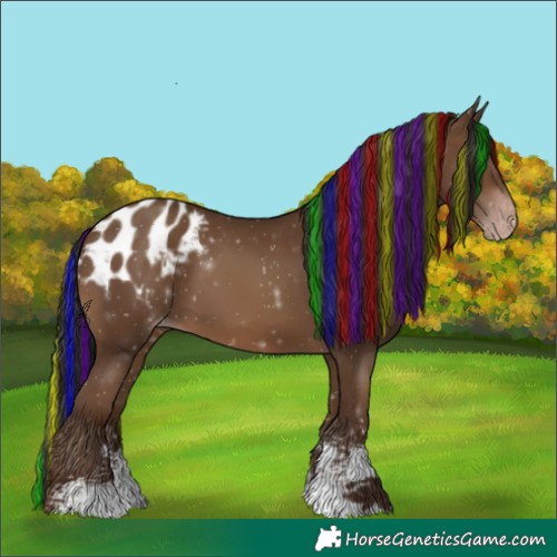 Horse Color:Gray Painted Sable Champagne Sabino Blanket 