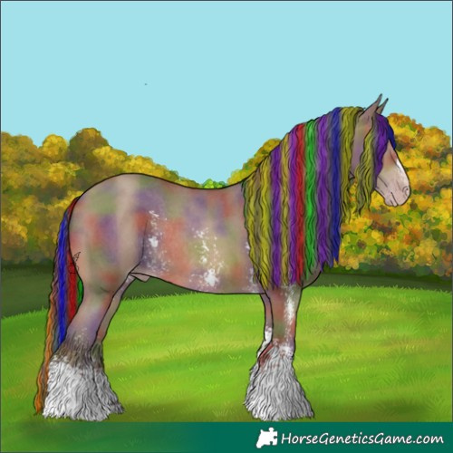 Horse Color:Gray Painted Nacre Amber Champagne Sabino Rabicano 