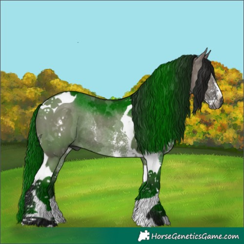 Horse Color:Gray Grullo Sabino Tobiano Rabicano