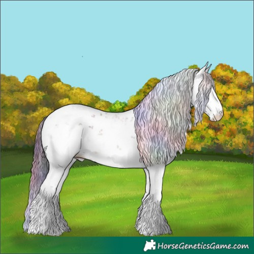 Horse Color:Nacre Bay Sabino Varnish Rabicano 