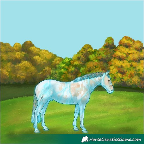 Horse Color:Thunderstruck White Spotted Red Dun Ice Tobiano Snowcap 