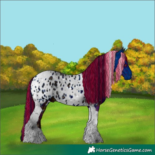 Horse Color:ERROR: UNKNOWN ANOMALY