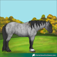Horse Color:Blue Roan