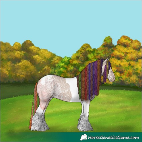 Horse Color:Painted Classic Champagne Ice Dun Tobiano Varnish Rabicano